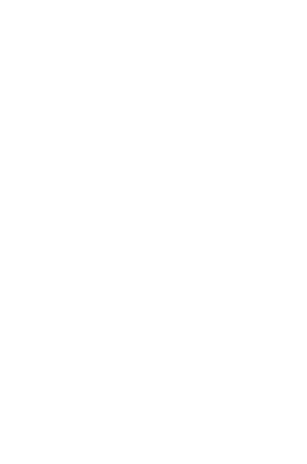 logo-ico